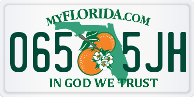 FL license plate 0655JH