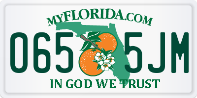 FL license plate 0655JM
