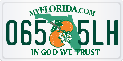 FL license plate 0655LH