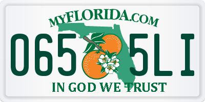 FL license plate 0655LI