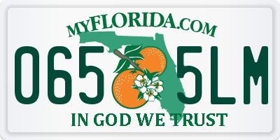 FL license plate 0655LM