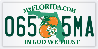 FL license plate 0655MA