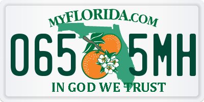FL license plate 0655MH