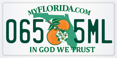 FL license plate 0655ML