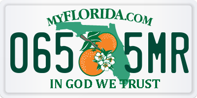 FL license plate 0655MR