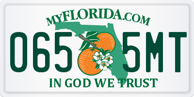 FL license plate 0655MT
