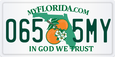 FL license plate 0655MY