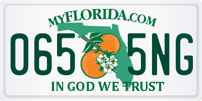 FL license plate 0655NG