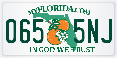 FL license plate 0655NJ