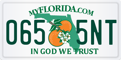 FL license plate 0655NT