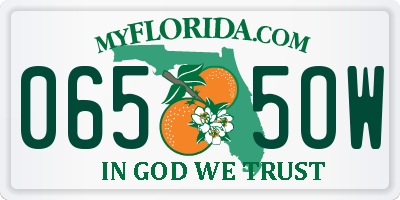 FL license plate 0655OW