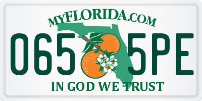 FL license plate 0655PE