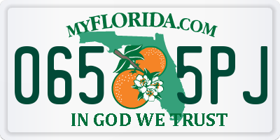 FL license plate 0655PJ