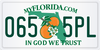 FL license plate 0655PL