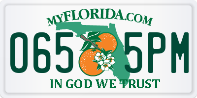 FL license plate 0655PM