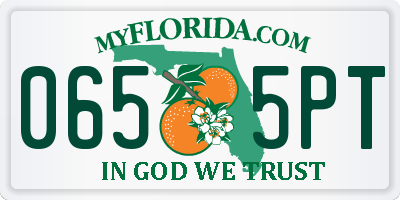 FL license plate 0655PT