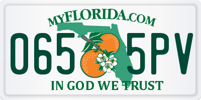 FL license plate 0655PV