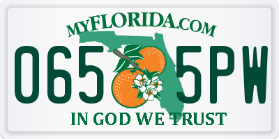 FL license plate 0655PW