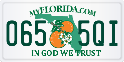 FL license plate 0655QI