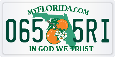 FL license plate 0655RI