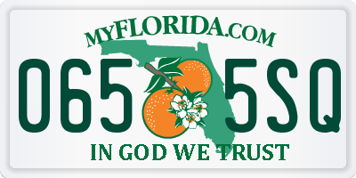 FL license plate 0655SQ
