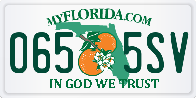 FL license plate 0655SV