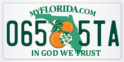 FL license plate 0655TA