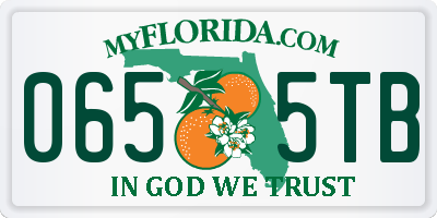 FL license plate 0655TB