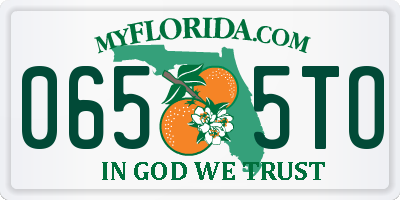 FL license plate 0655TO