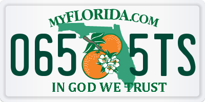FL license plate 0655TS