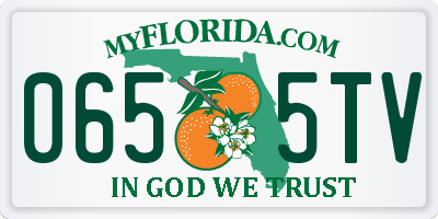 FL license plate 0655TV