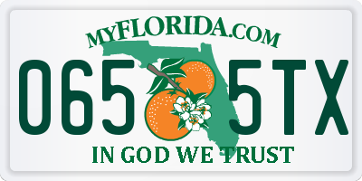 FL license plate 0655TX