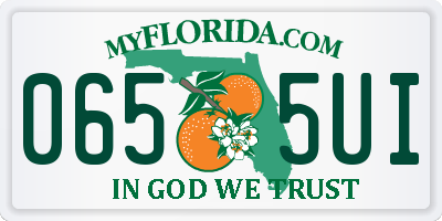 FL license plate 0655UI
