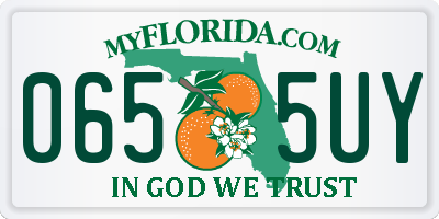 FL license plate 0655UY