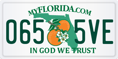 FL license plate 0655VE