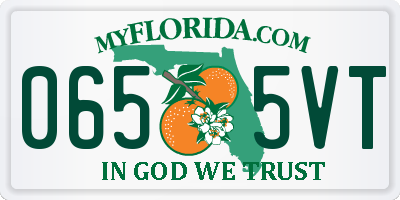 FL license plate 0655VT