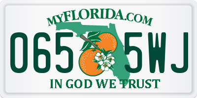 FL license plate 0655WJ