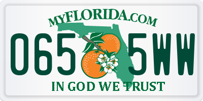 FL license plate 0655WW