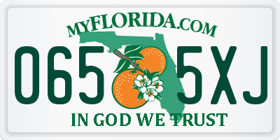 FL license plate 0655XJ