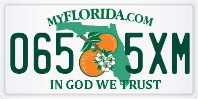 FL license plate 0655XM