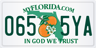 FL license plate 0655YA