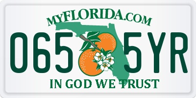 FL license plate 0655YR