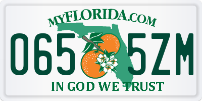 FL license plate 0655ZM