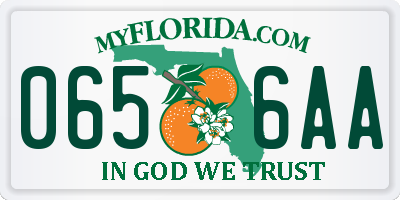 FL license plate 0656AA