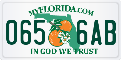 FL license plate 0656AB