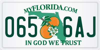 FL license plate 0656AJ