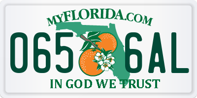 FL license plate 0656AL