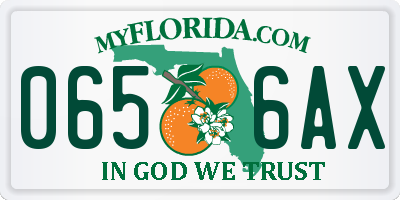 FL license plate 0656AX
