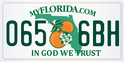 FL license plate 0656BH