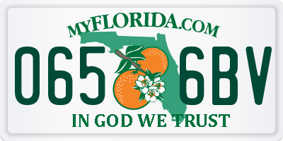 FL license plate 0656BV